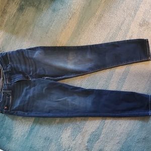 Hudson Jeans -Natalie Super Skinny womens size 33